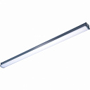 Светильник Philips WT066C NW LED33 L1200 CFW PSU