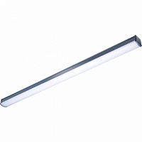 Светильник Philips WT066C NW LED33 L1200 CFW PSU