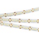 Лента светодиодная Arlight RT-A240-10mm 24V Day4000 (19.2 W/m, SMD3528, 240led/m, IP20)