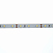 Лента светодиодная ELP STRIP-300-2835-W 60Led/m, 12В, 5Вт, IP20, белая