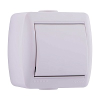 Выключатель Lezard Nata о/у 1-кл 250V 10A белый