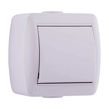 Выключатель Lezard Nata о/у 1-кл 250V 10A белый