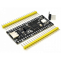 Контроллер Raspberry Pi Pico Black Board RP2040 16Mb type-c