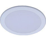 Светильник Philips DN027B G2 22W 220-240V D200 RU (22Вт, 2000Лм, 6.5К)