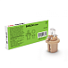BAX 8,5d cream Lite-Tronic 12V 1.5W 1138VSCP