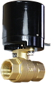 Кран с электроприводом AR200-2-25 220В 12сек