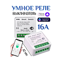 Умное Wi-Fi реле Mini Smart Switch Tuya одноканальный 16A (работает с Яндекс Алисой)