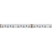 Лента светодиодная Arlight RT-B60 24V RGBW-White-4-in-1 (19.2 W/m, SMD5060, 60led/m, IP20)