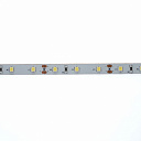 Лента светодиодная ELP STRIP-300-2835-W 60Led/m, 12В, 5Вт, IP20, белая