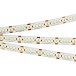 Лента светодиодная Arlight RT-A240-10mm 24V Day4000 (19.2 W/m, SMD3528, 240led/m, IP20)