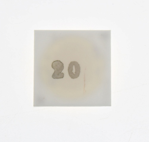 Светодиодная матрица «прямого включения» ST 20W 6500K COB (220V, 1800lm, 19x19mm)