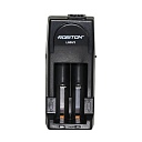 Зарядное устройство Robiton Li500/2