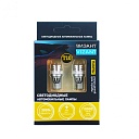 Светодиодная лампа T10 (W5W) Vizant 12V B381 4 SMD White 2 шт.