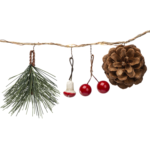 Гирлянда Navigator 93 674 NGF-D024-01 (шишки 2АА)