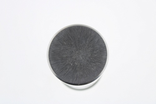 JFS-24  50.0мкФ*450В(пусковой)(CBB65A), Конденсатор