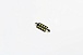 Светодиодная лампа C5W (T11x39) 12V 8 SMD LED White 