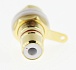 RCA гнездо на панель N1033 (GOLD) красный, Разъём