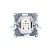 Розетка компьютерная AtlasDesign RJ45 с/у 1-м без з/к IP20 ATN001083 КАРБОН