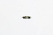 Светодиодная лампа C5W Philips Festoon Uitinon Pro6000 SI LED White  6000K 24V T10.5x30 24844 CU60 X1 