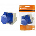 Розетка стационарная 2P+PE 16A 220B IP44 TDM (3-х контактная)