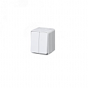 Выключатель AtlasDesign Profi54 о/у 2-кл IP54 10 АХ, БЕЛЫЙ 
