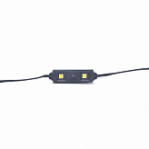 Модуль светодиодный ELP BLACK-2-5050-24-WW 2SMD диодов 5050, 120гр., 24В, IP44, теплый белый