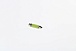 Светодиодная лампа C5W (T11x39) 12V  COB LED White