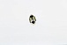 Светодиодная лампа C5W (T11x39) 12V 8 SMD LED White 