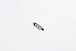 Светодиодная лампа C5W (T11x39) 12V 3 SMD LED White 